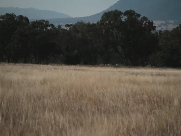 Sixth view of Homely rural property listing, 1435 Rushes Creek Road-, Manilla NSW 2346