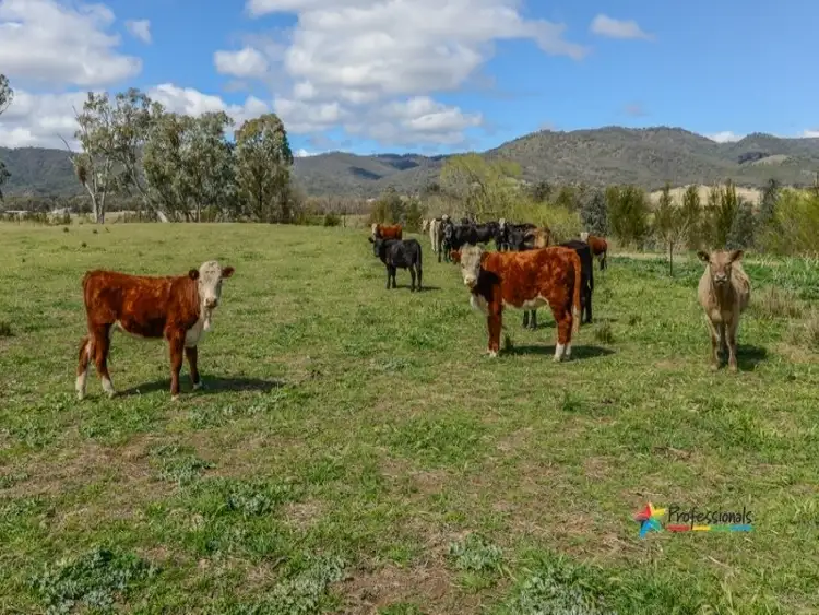 Third view of Homely rural property listing, 278 Sandy Road, Kootingal NSW 2352