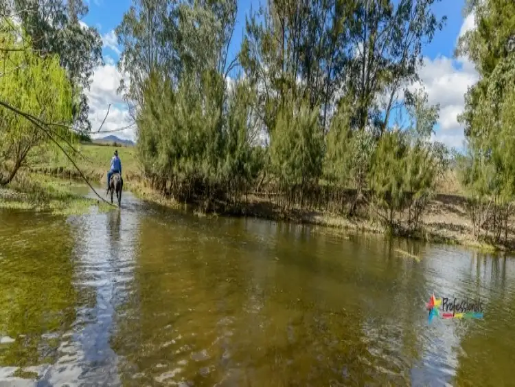 Fifth view of Homely rural property listing, 278 Sandy Road, Kootingal NSW 2352