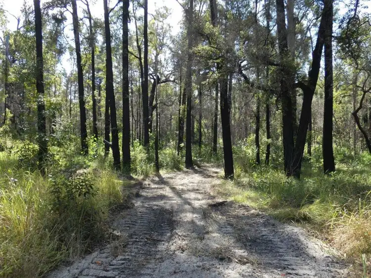 Seventh view of Homely rural property listing, 1595 Tableland Road, Mount Maria QLD 4674