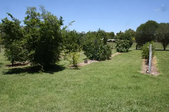 Fifth view of Homely land listing, 159 Ossian Street, Murphys Creek QLD 4352