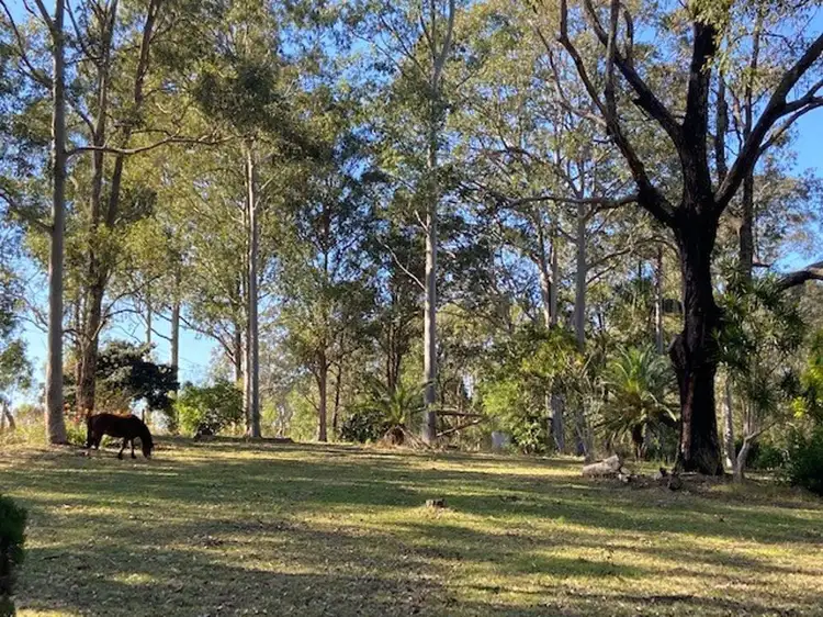 Fifth view of Homely rural property listing, 133 Armidale Road, Yarravel NSW 2440