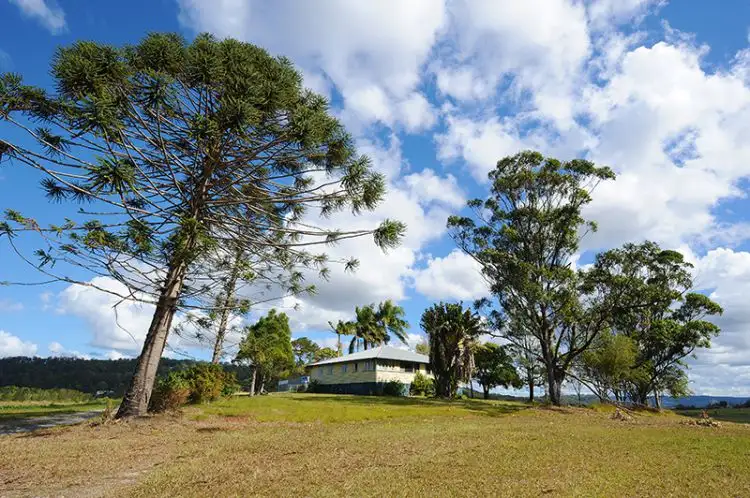 Main view of Homely house listing, 289 Bli Bli Road, Bli Bli QLD 4560
