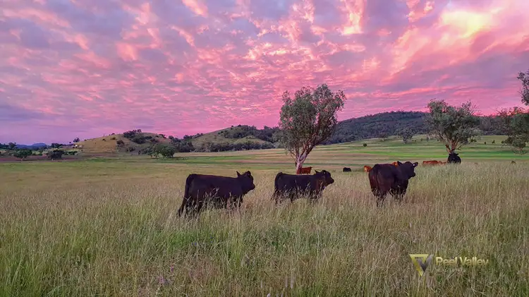 Fifth view of Homely land listing, Lot 121 Nundle Road Nemingha, Tamworth NSW 2340