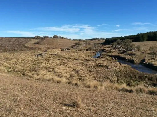 Third view of Homely rural property listing, "Craigie 2 Plan Craigie Road, Craigie NSW 2632