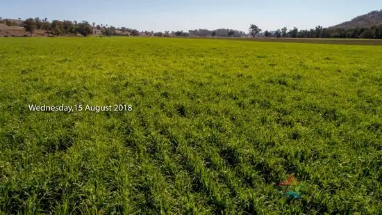 Main view of Homely rural property listing, 'Elwyn' 2722 Duri-Dungowan Road, Tamworth NSW 2340