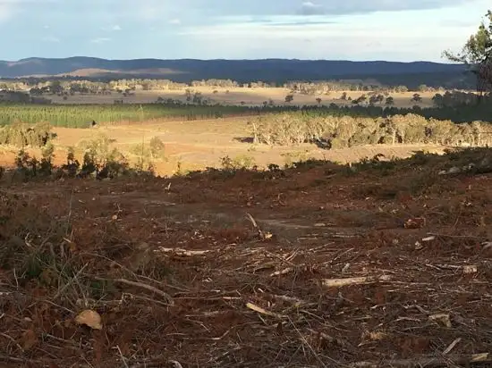 Second view of Homely rural property listing, "Numeralla" Old Kybeyan Road, Countegany NSW 2630