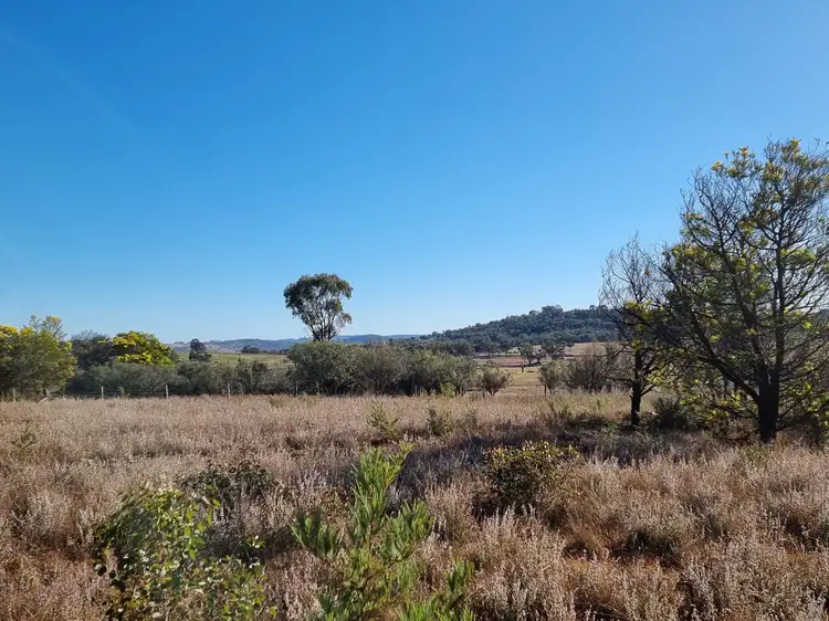 Fifth view of Homely land listing, 143 Cadell Street, Emmaville NSW 2371