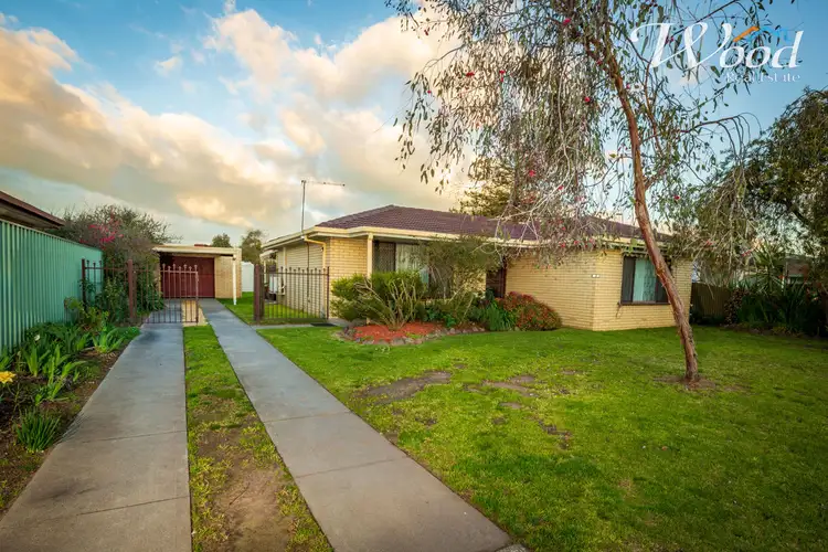 Main view of Homely house listing, 388 Dick Rd, Lavington NSW 2641