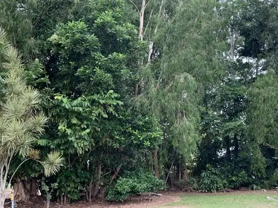 Third view of Homely land listing, 24 Sassafras Street, Bramston Beach QLD 4871