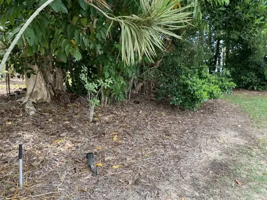 Seventh view of Homely land listing, 24 Sassafras Street, Bramston Beach QLD 4871