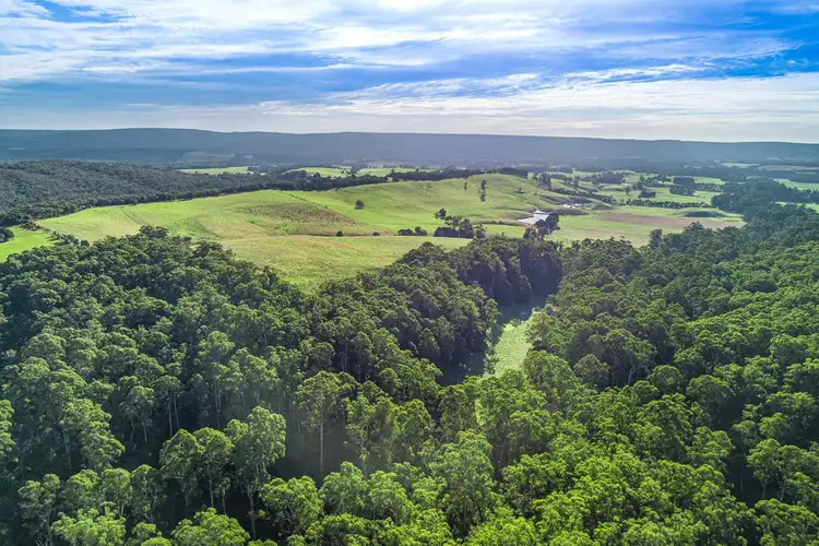 Second view of Homely rural property listing, Lot 3, 195 Moomowroong Road, Carlisle River VIC 3239