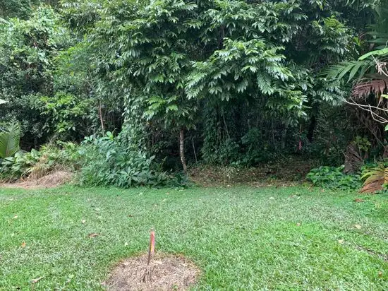 Fourth view of Homely land listing, 34 Parry Street, Babinda QLD 4861