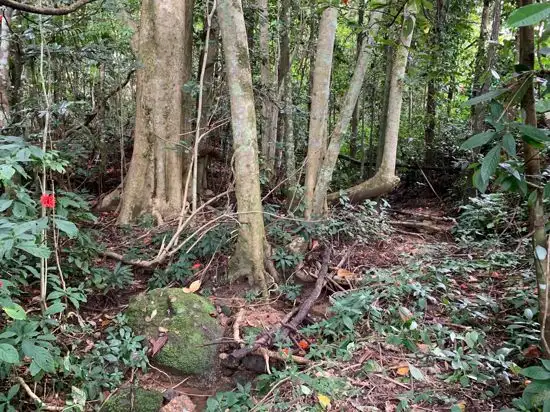 Seventh view of Homely land listing, 34 Parry Street, Babinda QLD 4861
