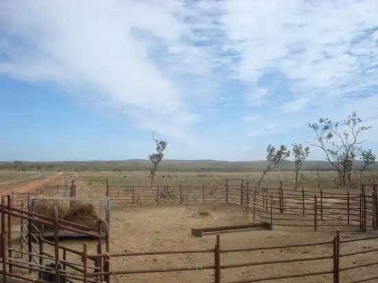 Seventh view of Homely rural property listing, 218 HUNDRED OF HOWARD -STUART HIGHWAY, Adelaide River NT 846