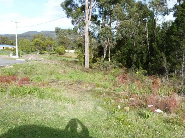 Third view of Homely land listing, Lot 1 Arthur Highway, Port Arthur TAS 7182