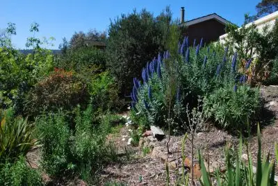 Seventh view of Homely house listing, 54 Signal Hill Road, Dodges Ferry TAS 7173