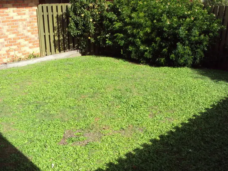 Third view of Homely unit listing, 3/2 Rosegum, Redbank Plains QLD 4301