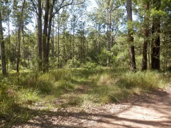Fourth view of Homely rural property listing, Lot 213 Long Gully Rd, Drake NSW 2469