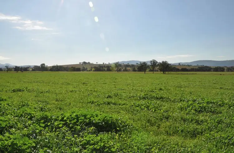 Seventh view of Homely rural property listing, Lot 402 Nandowra Rd, "Applegum", Scone NSW 2337