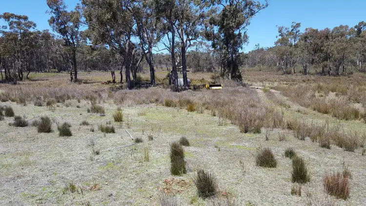 Third view of Homely rural property listing, 996 Mount Mitchell Road, Backwater NSW 2365