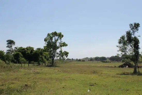 Main view of Homely land listing, lot 5 Forest Street, Coraki NSW 2471