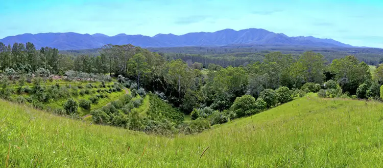 105 Kethels Road, Bellingen NSW 2454