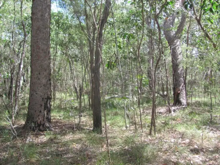Fourth view of Homely rural property listing, Lot 50 Matchbox Road, Deepwater QLD 4674