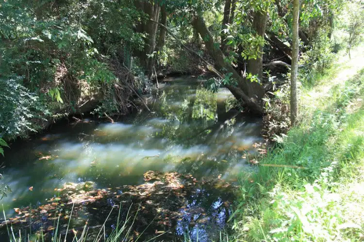 Second view of Homely rural property listing, 169 Yabba Creek Road, Imbil QLD 4570