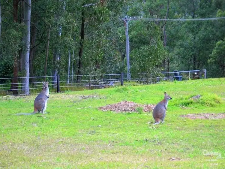 Seventh view of Homely rural property listing, 132 Sauls Road, Mandalong NSW 2264