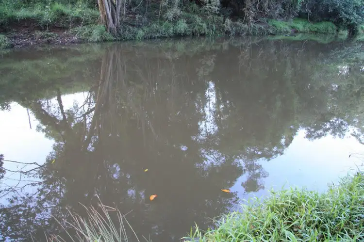 Sixth view of Homely rural property listing, 132 Wilsons Pocket Road, Wilsons Pocket QLD 4570