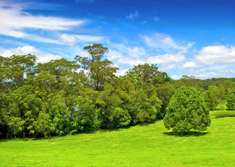 Third view of Homely rural property listing, 869 South Arm Road, Bellingen NSW 2454