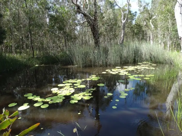 Second view of Homely rural property listing, 193 Maude Hill Road, Deepwater QLD 4674