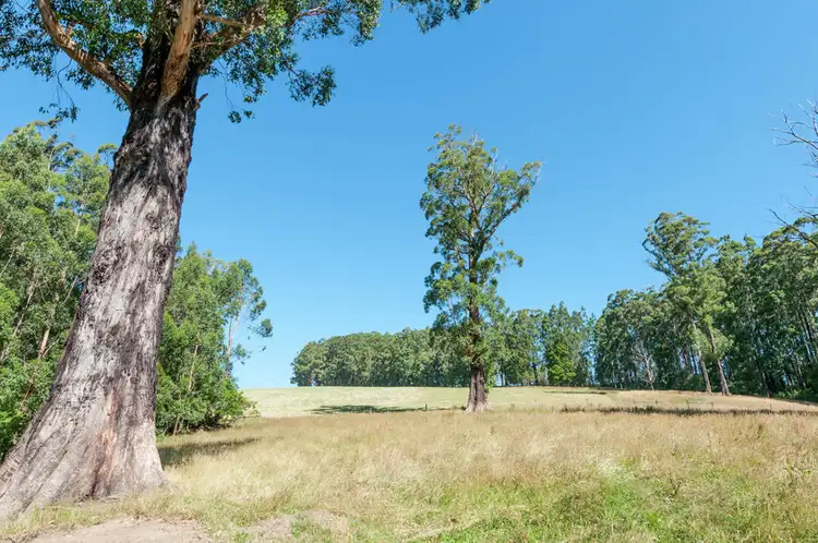 Main view of Homely rural property listing, 4880 Great Ocean Road, Lavers Hill VIC 3238
