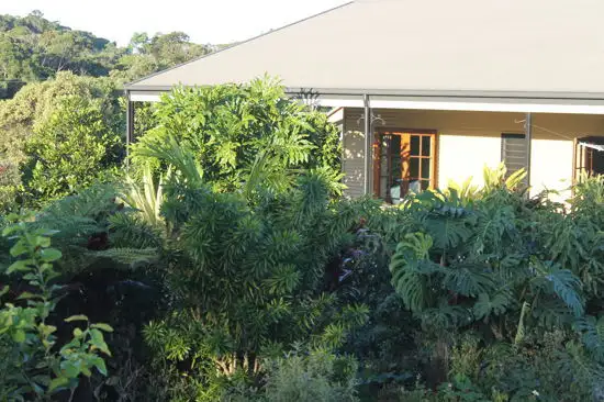 Main view of Homely rural property listing, 30 Mary Jane Drive, Julatten QLD 4871