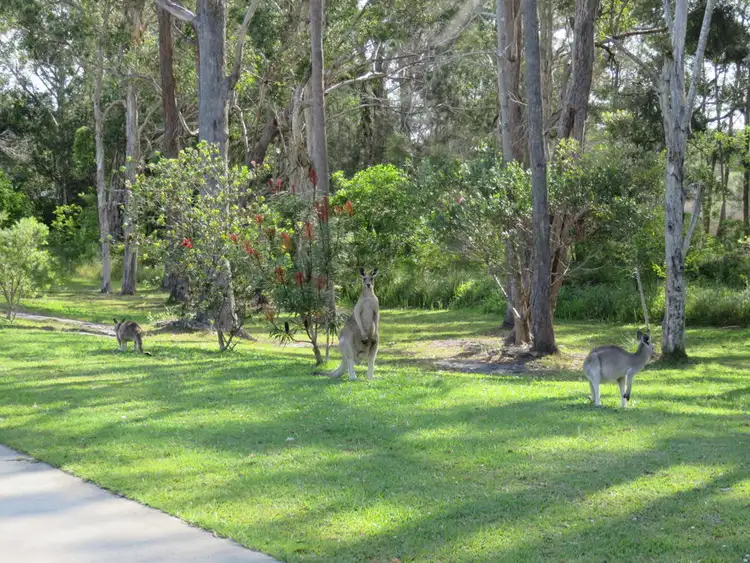 Third view of Homely house listing, 120 WATTLEGROVE TERRACE, Valla Beach NSW 2448