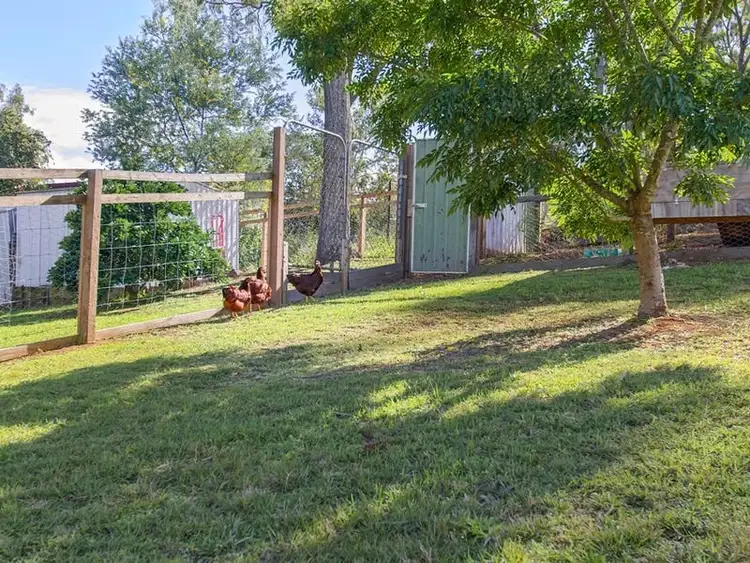 Fourth view of Homely house listing, 53 Mamaku Street, Fernvale QLD 4306