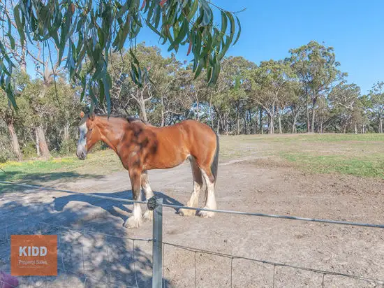 Main view of Homely rural property listing, 529 Ironbark Road, Mangrove Mountain NSW 2250