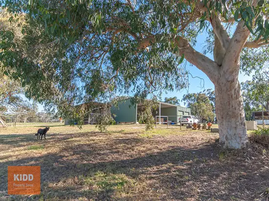 Second view of Homely rural property listing, 529 Ironbark Road, Mangrove Mountain NSW 2250