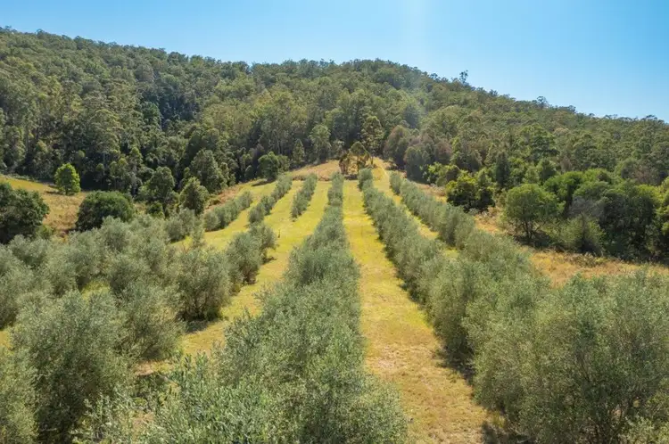 Sixth view of Homely rural property listing, 906 Pipeclay Road, Pipeclay NSW 2446