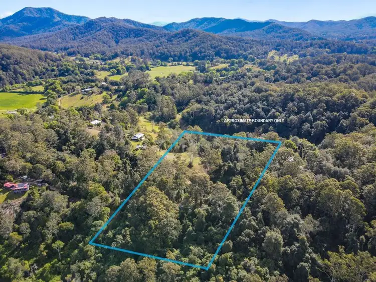 Fifth view of Homely land listing, 408 Bowraville Road, Brierfield NSW 2454