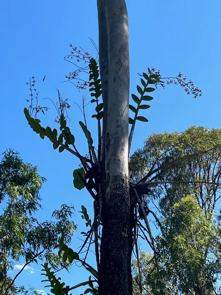 Sixth view of Homely land listing, LOT 18 MIDGE POINT ROAD, Bloomsbury QLD 4799