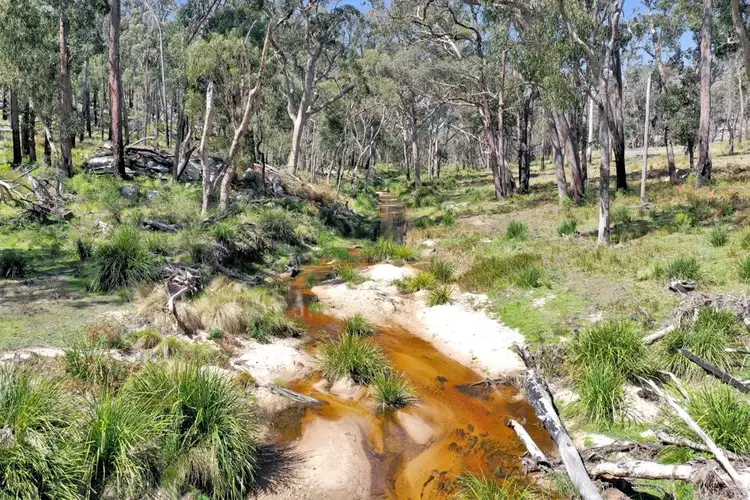 1224 Mount McKenzie Road, Tenterfield NSW 2372