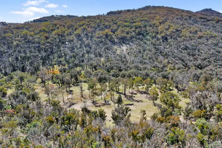 Fifth view of Homely rural property listing, 1224 Mount McKenzie Road, Tenterfield NSW 2372