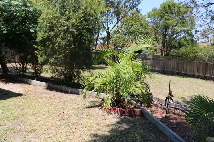 Third view of Homely house listing, 11 Daintree Crescent, Blue Haven NSW 2262