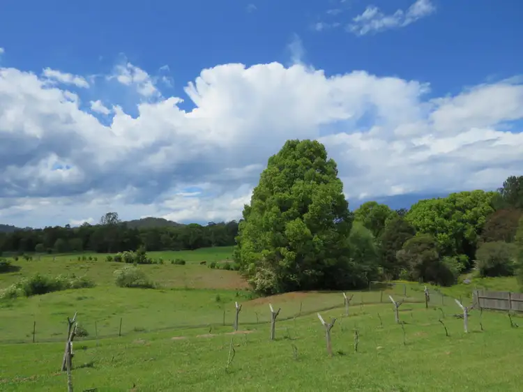 Sixth view of Homely rural property listing, 23-25 ALBERTA STREET, Bowraville NSW 2449