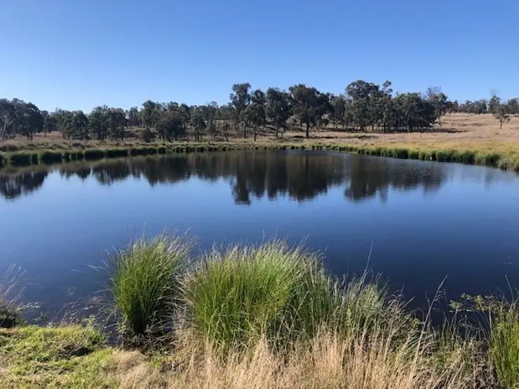 Lot 1 Pine Grove Road, Ballandean QLD 4382