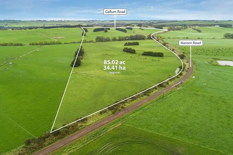 Fifth view of Homely rural property listing, 263 Gallum Road, Cooriemungle VIC 3268