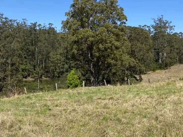 Lot 1 Afterlee Road - Afterlee, Kyogle NSW 2474
