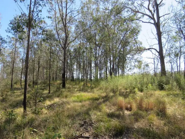 Second view of Homely rural property listing, 213 Mines Road, Deep Creek NSW 2440